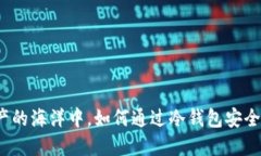在数字资产的海洋中，如何通过冷钱包安全购买