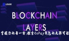 掌握你的每一分：探索CoPay钱包的无限可能