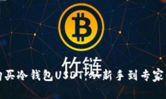 如何安全购买冷钱包USDT：从新手到专家的全面指
