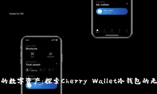 保护您的数字资产：探索Cherry Wallet冷钱包的无限可能