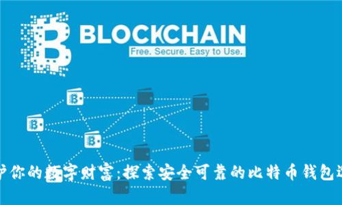 保护你的数字财富：探索安全可靠的比特币钱包选择