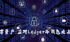保护您的数字资产：应对Ledger冷钱包攻击的有效