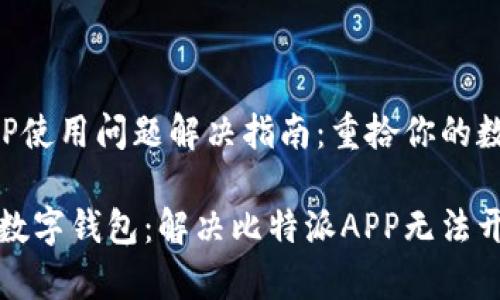 比特派APP使用问题解决指南：重拾你的数字钱包

重启你的数字钱包：解决比特派APP无法开启的问题