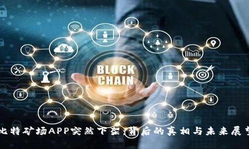 比特矿场APP突然下架：背后的真相与未来展望