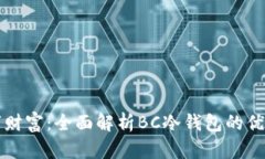 保护你的数字财富：全面解析BC冷钱包的优势和使