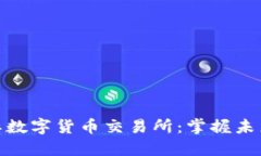 探索比特国际数字货币交易所：掌握未来金融的