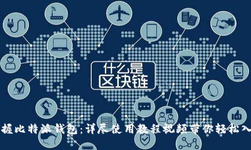 掌握比特派钱包：详尽使用教程视频带你轻松入门
