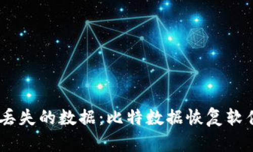 轻松找回丢失的数据：比特数据恢复软件APP推荐