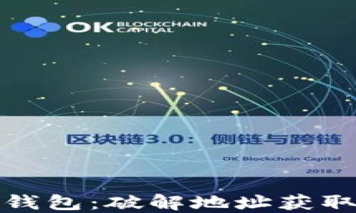 
解锁比特派钱包：破解地址获取失败的密码