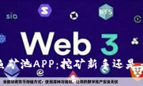 深度解析比特鱼矿池APP：挖矿新手还是老手的理想选择