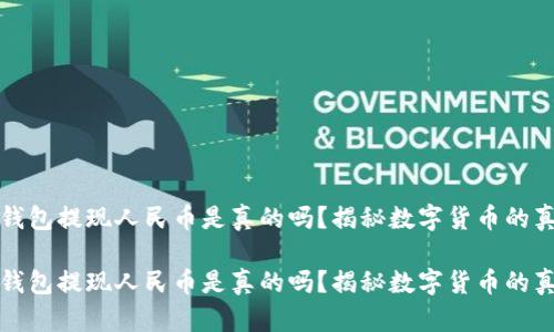 比特派钱包提现人民币是真的吗？揭秘数字货币的真实面孔

比特派钱包提现人民币是真的吗？揭秘数字货币的真实面孔