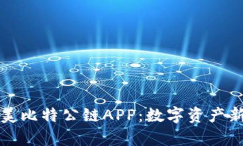 探索全面的美比特公链APP：数字资产新纪元的开启