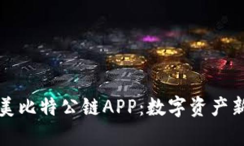 探索全面的美比特公链APP：数字资产新纪元的开启
