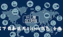 如何下载和使用Bitple钱包：全面指南