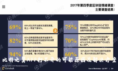 比特之翼APP打不开的可能原因及解决方案