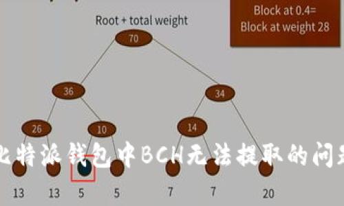 解决比特派钱包中BCH无法提取的问题分析