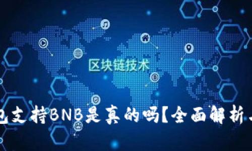 比特派钱包支持BNB是真的吗？全面解析与用户指南