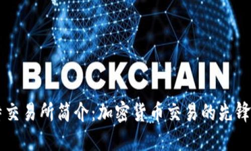 比特交易所简介：加密货币交易的先锋平台