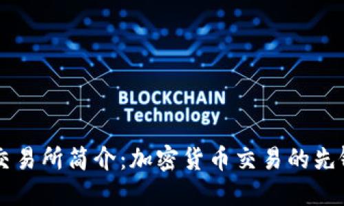 比特交易所简介：加密货币交易的先锋平台