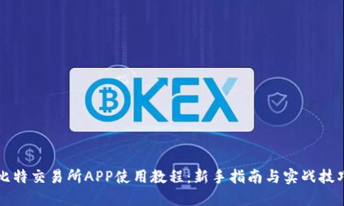比特交易所APP使用教程：新手指南与实战技巧
