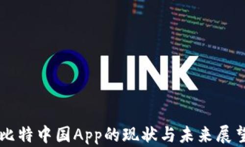 
比特中国App的现状与未来展望