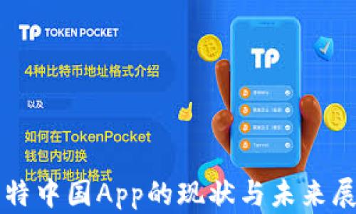
比特中国App的现状与未来展望