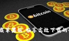q比特下载苹果端：畅享高效下载的全新体验