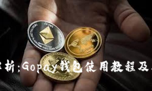 全面解析：Gopay钱包使用教程及其优势