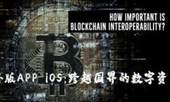 比特儿海外版APP iOS：跨越国界的数字资产交易利