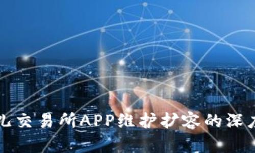 比特儿交易所APP维护扩容的深度解析