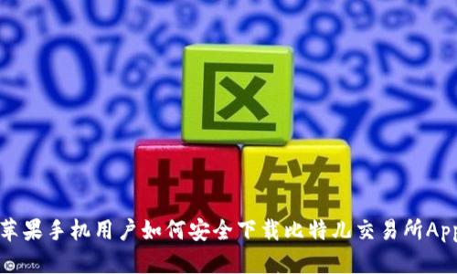 苹果手机用户如何安全下载比特儿交易所App