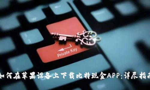 如何在苹果设备上下载比特现金APP：详尽指南