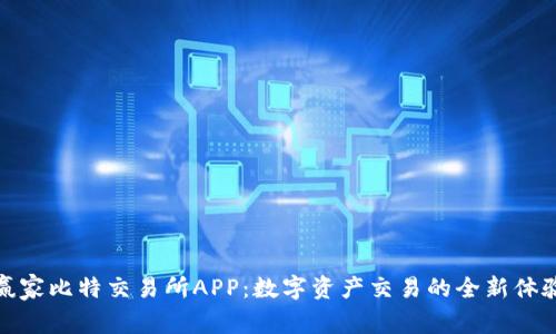 赢家比特交易所APP：数字资产交易的全新体验