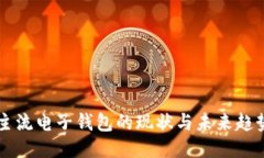 主流电子钱包的现状与未来趋势