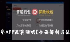 比特小牛APP是真的吗？全面解析与使用体验