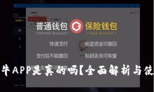比特小牛APP是真的吗？全面解析与使用体验