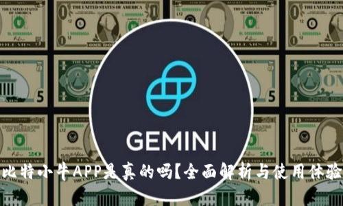比特小牛APP是真的吗？全面解析与使用体验