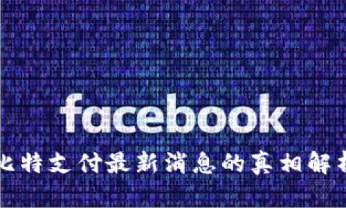 比特支付最新消息的真相解析