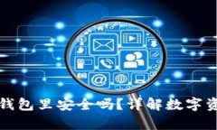 热钱包转到冷钱包里安全吗？详解数字资产存储