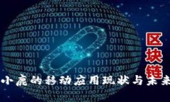 比特小鹿的移动应用现状与未来展望