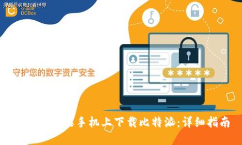如何在苹果手机上下载比特派：详细指南