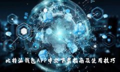 比特派钱包APP中文下载指南及使用技巧