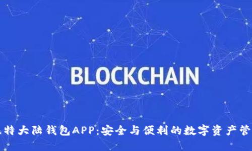 比特大陆钱包APP：安全与便利的数字资产管理