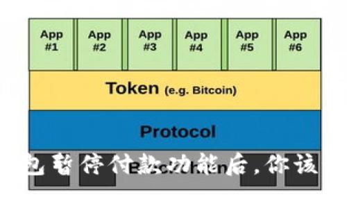 当数字钱包暂停付款功能后，你该如何应对？