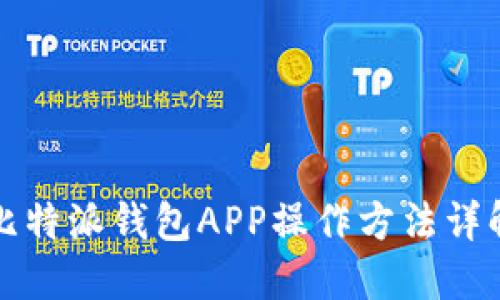 比特派钱包APP操作方法详解