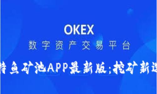 比特鱼矿池APP最新版：挖矿新选择