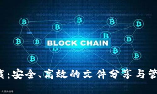 BitDock下载：安全、高效的文件分享与管理解决方案
