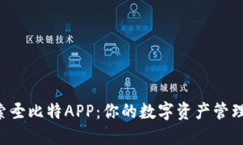  探索圣比特APP：你的数字资产管理助手