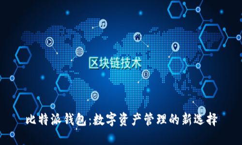 比特派钱包：数字资产管理的新选择