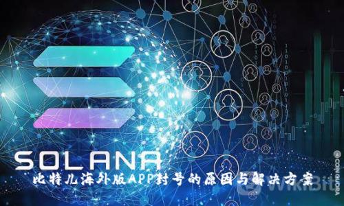 比特儿海外版APP封号的原因与解决方案